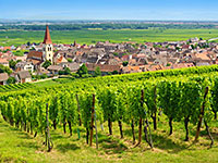 Alsace vignoble, route des vins